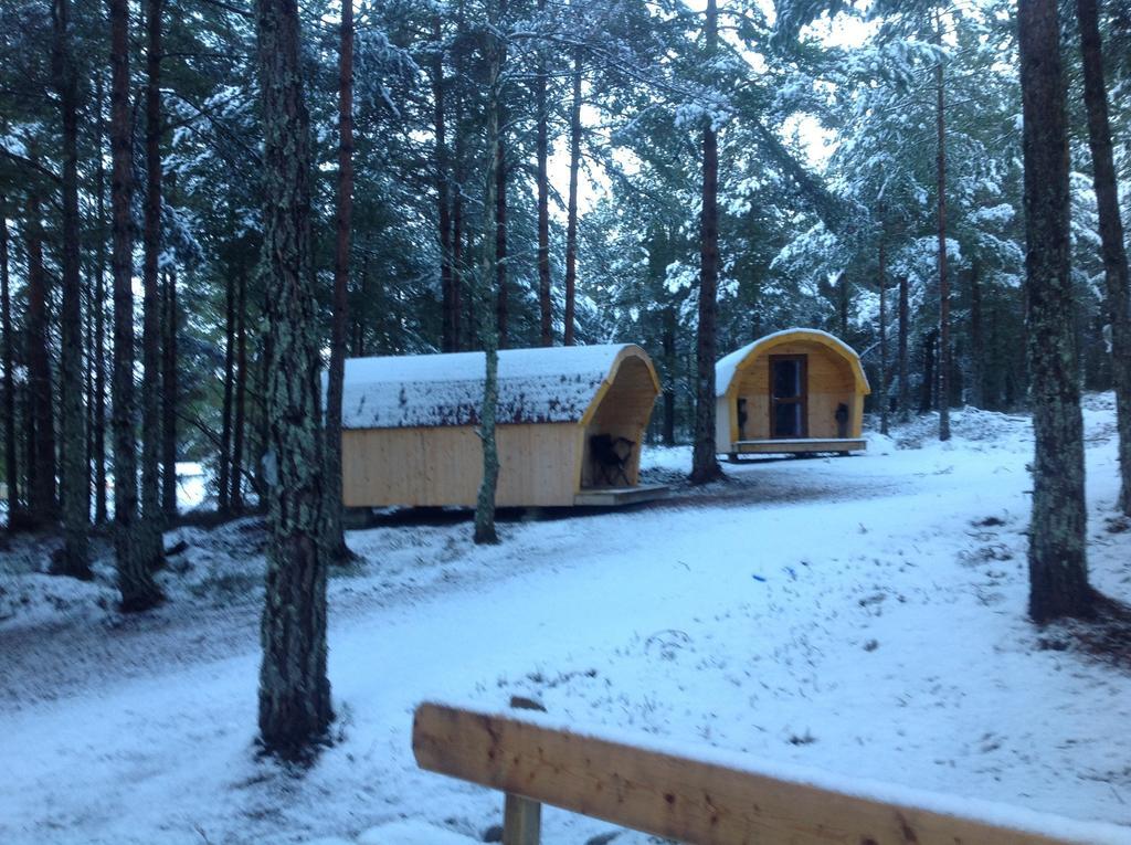 Camping Pod Heaven Бракла Экстерьер фото