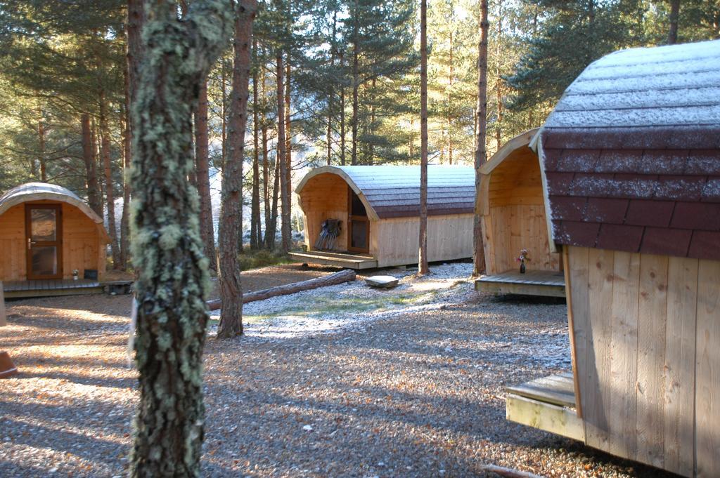Camping Pod Heaven Бракла Экстерьер фото
